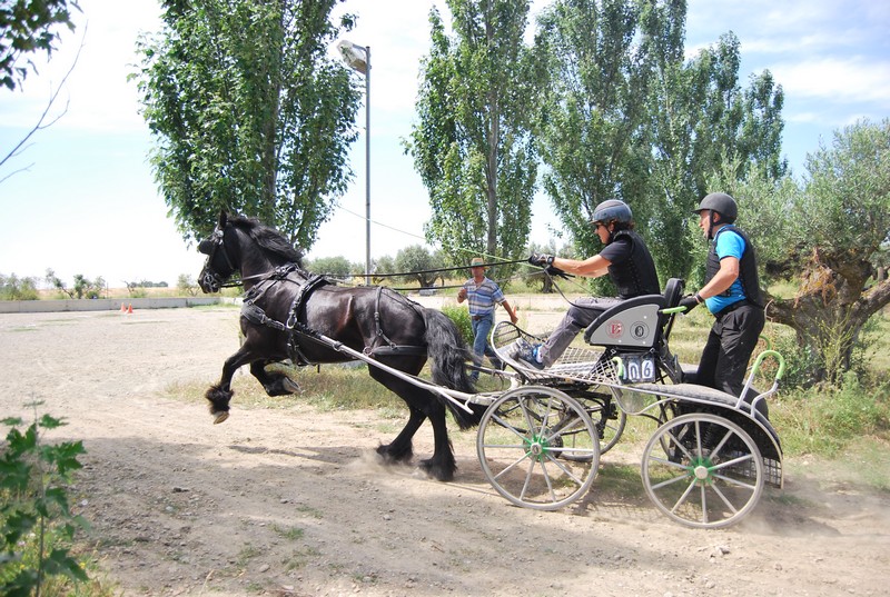 Mucho calor en La Pinturita en el Campeonato Navarro de Enganches Indoor